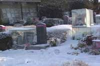 movie_image.jpg?type=m665_443_2