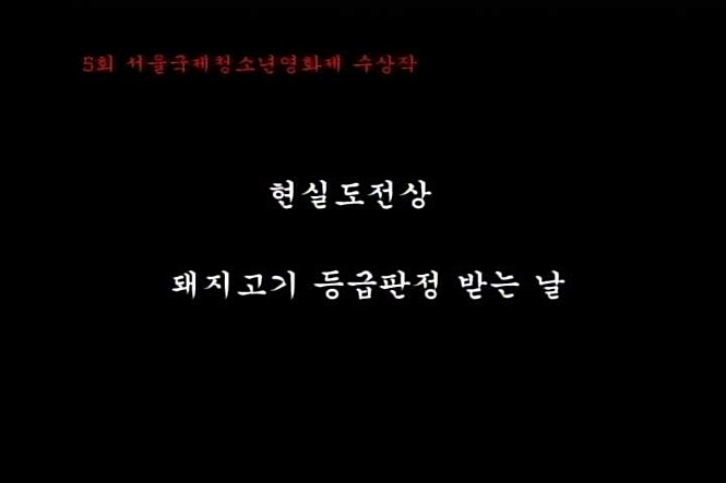 돼지고기 등급판정받는 날