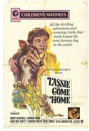 movie_image.jpg?type=m665_443_2