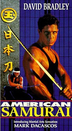 신아메리칸 닌자
