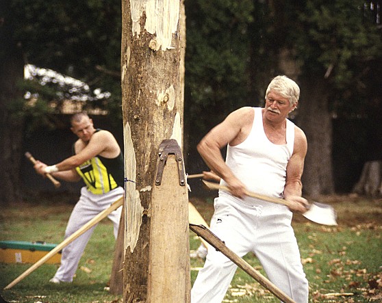 movie_image.jpg?type=m665_443_2
