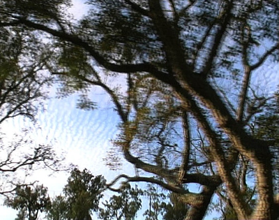 movie_image.jpg?type=m665_443_2