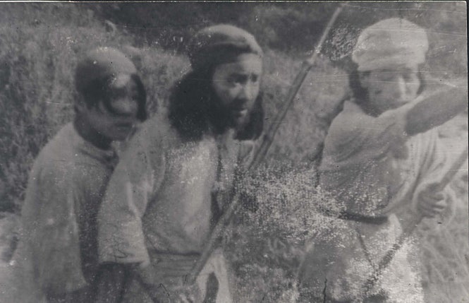 산채왕