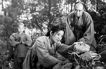연화