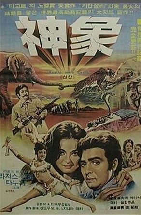 신상