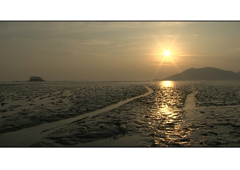 movie_image.jpg?type=m665_443_2