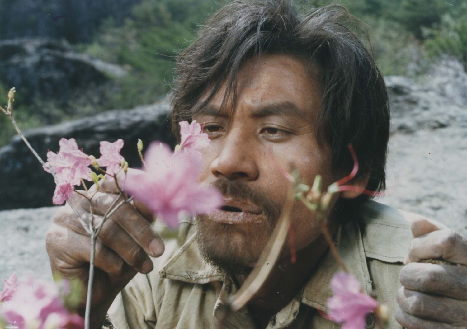 movie_image.jpg
