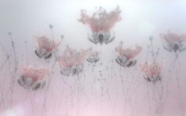 수이렌