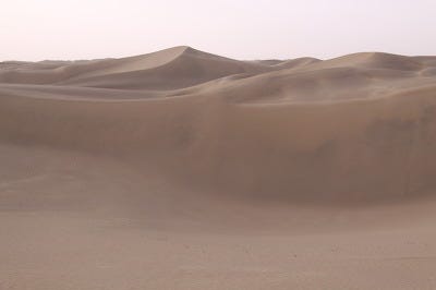 movie_image.jpg?type=m665_443_2