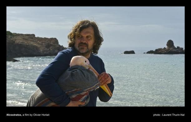 movie_image.jpg?type=m665_443_2