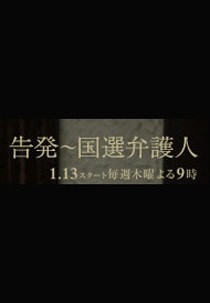 고발 - 국선변호인