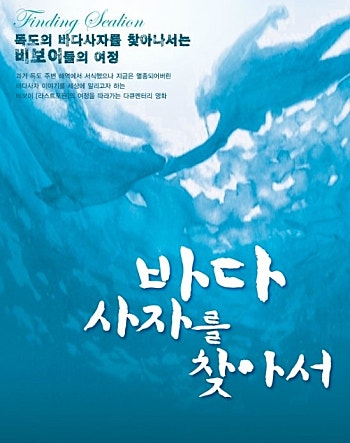 바다사자를 찾아서