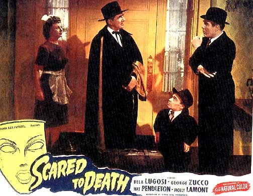 movie_image.jpg?type=m665_443_2
