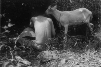 movie_image.jpg?type=m665_443_2