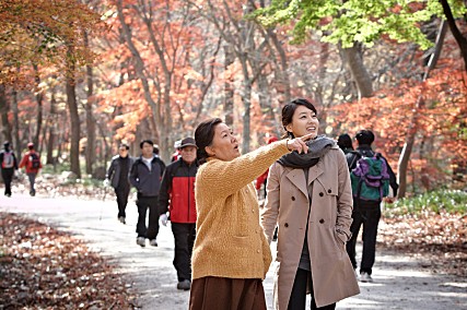 STILLCUT