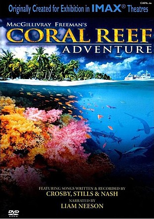 산호초 모험