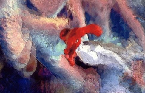 꿈꾸는 엘리펀트맨