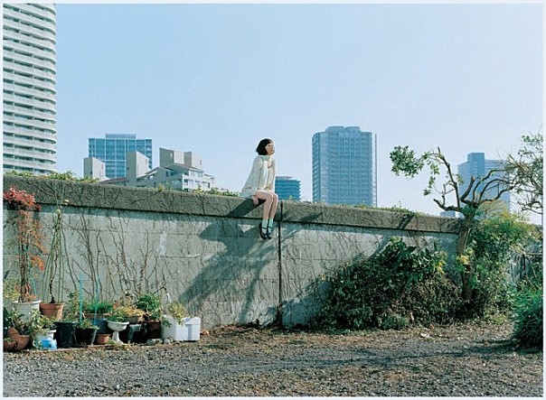STILLCUT