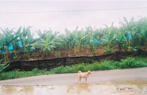 아이엠 리사: 감동과 성장을 그린 단편 드라마