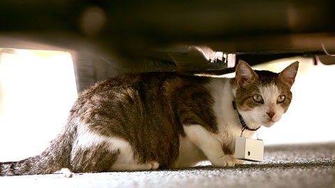 movie_image.jpg?type=m665_443_2