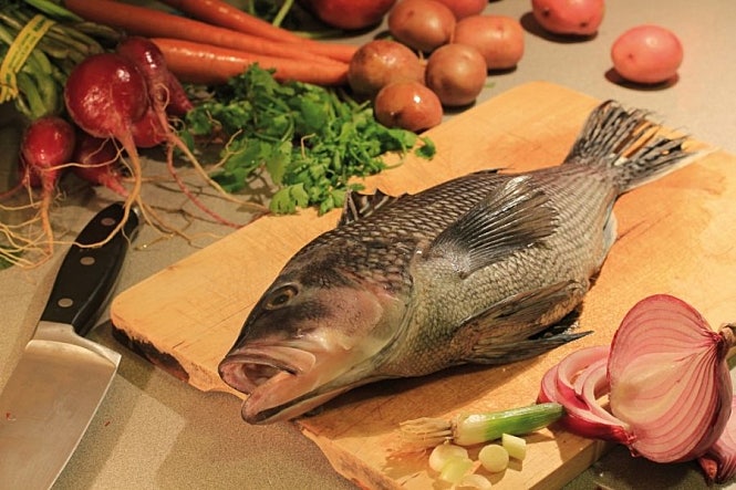 남몰래 흐르는 눈물