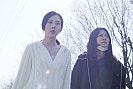 온화한 일상