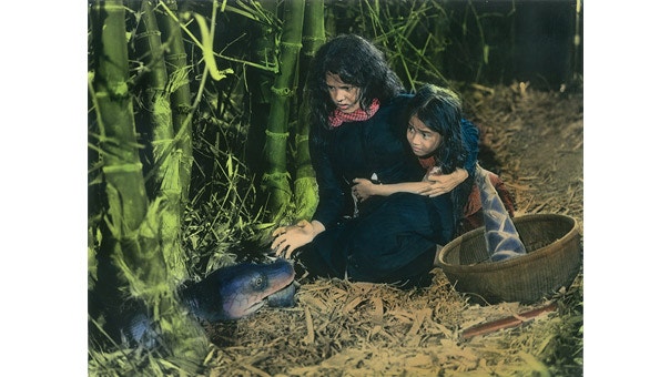 movie_image.jpg?type=m665_443_2