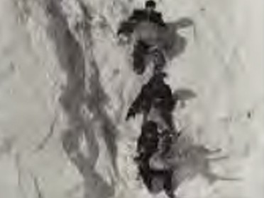 스타리트 미니트