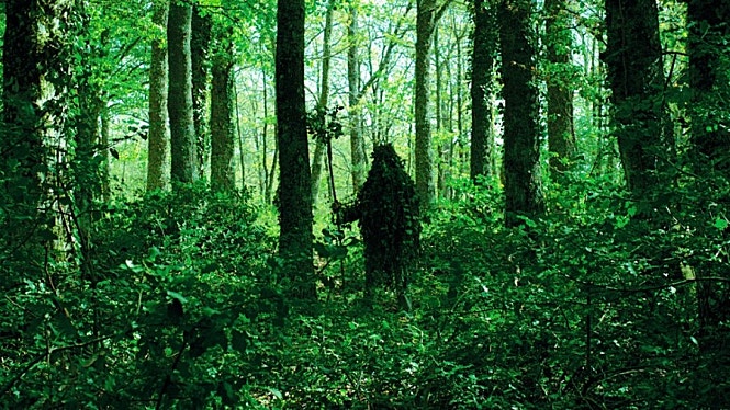 movie_image.jpg?type=m665_443_2