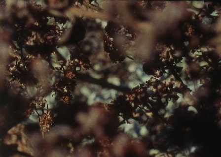 movie_image.jpg?type=m665_443_2