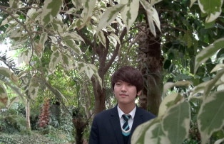 올무 All無