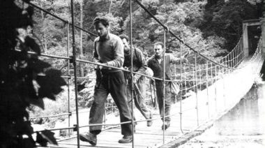 movie_image.jpg?type=m665_443_2