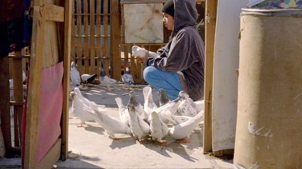 movie_image.jpg?type=m665_443_2