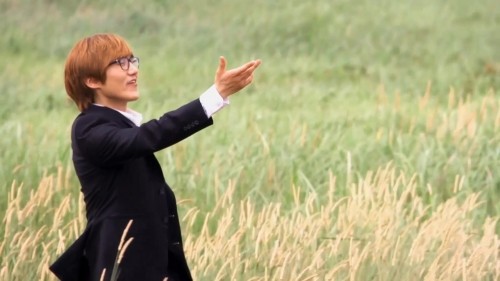 BAOBAB: 한국 뮤직비디오 'BAOBAB 2013'에 대한 영화정보