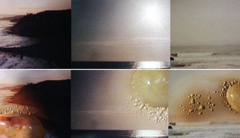 movie_image.jpg?type=m665_443_2
