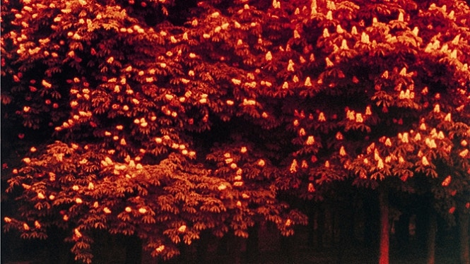 movie_image.jpg?type=m665_443_2