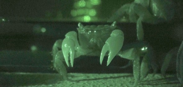 movie_image.jpg?type=m665_443_2