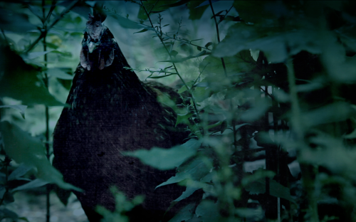 movie_image.jpg?type=m665_443_2