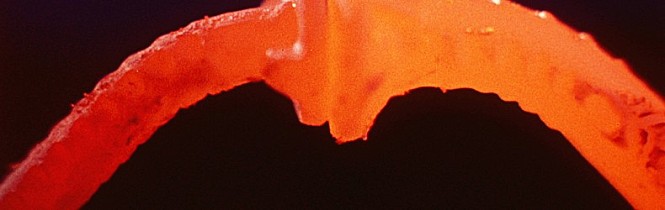movie_image.jpg?type=m665_443_2