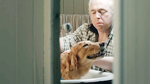 movie_image.jpg?type=m665_443_2