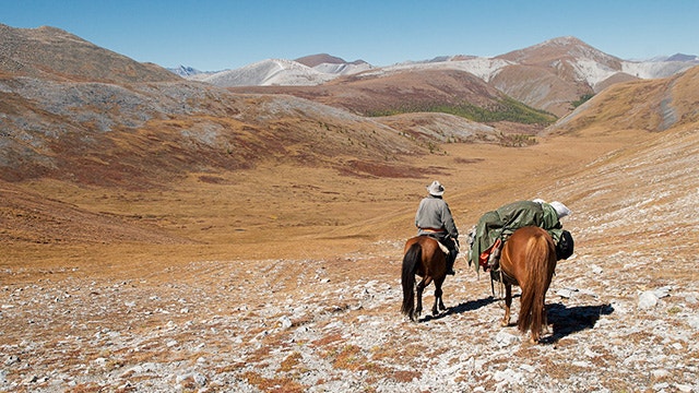 movie_image.jpg?type=m665_443_2