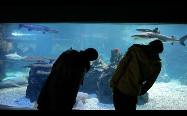 movie_image.jpg?type=m665_443_2