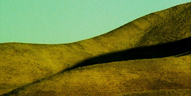 movie_image.jpg?type=m665_443_2