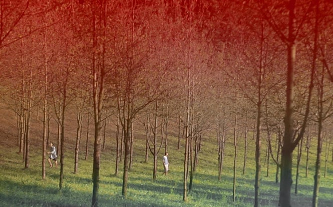movie_image.jpg?type=m665_443_2