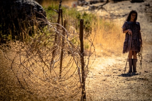 movie_image.jpg?type=m665_443_2