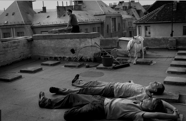 movie_image.jpg?type=m665_443_2
