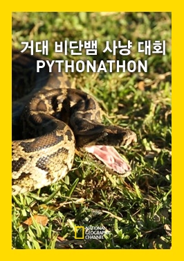 거대 비단뱀 사냥 대회