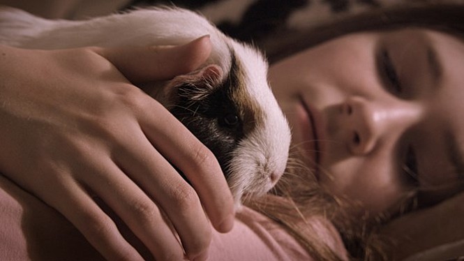 movie_image.jpg?type=m665_443_2