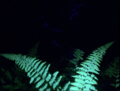 movie_image.jpg?type=m665_443_2