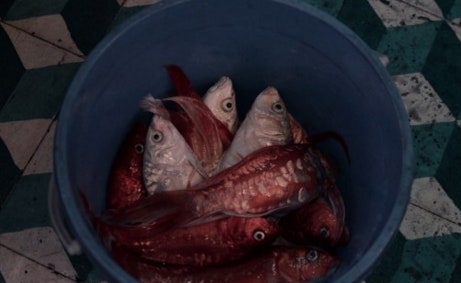 movie_image.jpg?type=m665_443_2
